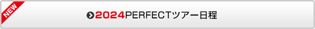 2024PERFECTツアーについて